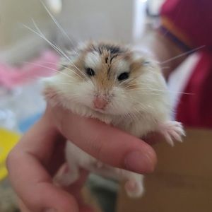 Meet your Posher, Vanessa